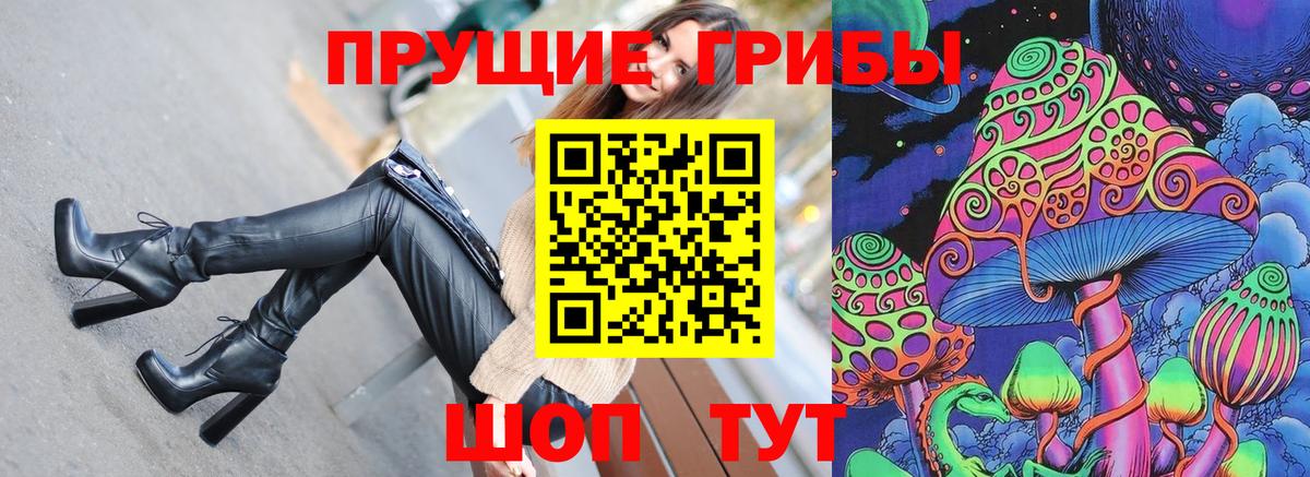 Камышлов  Галлюциногенные грибы Psilocybe  Вход с VPN 